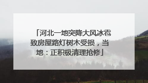 河北一地突降大风冰雹致房屋路灯树木受损，当地：正积极清理抢修