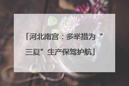 河北南宫：多举措为“三夏”生产保驾护航
