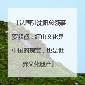 法国驻沈阳总领事罗毅睿：红山文化是中国的瑰宝，也是世界文化遗产