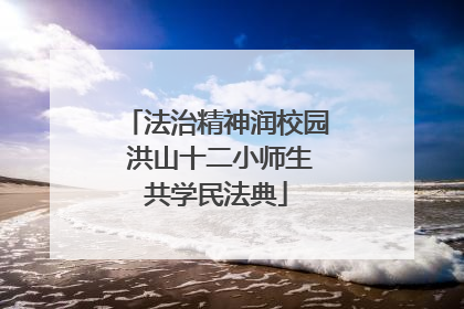 法治精神润校园 洪山十二小师生共学民法典