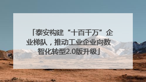 泰安构建“十百千万”企业梯队，推动工业企业向数智化转型2.0版升级