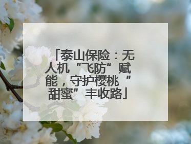 泰山保险：无人机“飞防”赋能，守护樱桃“甜蜜”丰收路