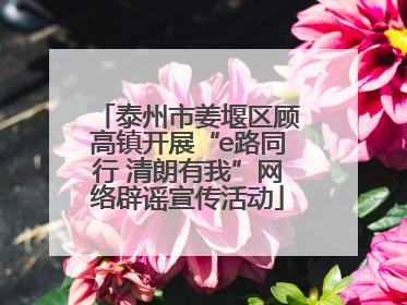 泰州市姜堰区顾高镇开展“e路同行 清朗有我”网络辟谣宣传活动
