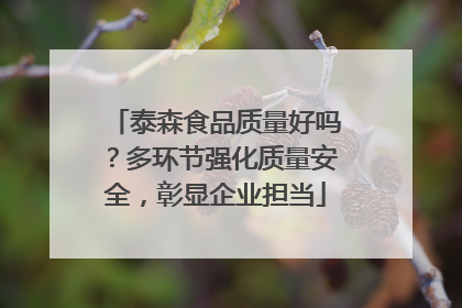泰森食品质量好吗？多环节强化质量安全，彰显企业担当