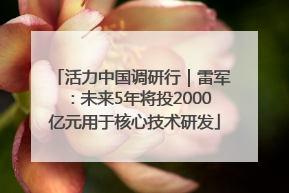 活力中国调研行｜雷军：未来5年将投2000亿元用于核心技术研发