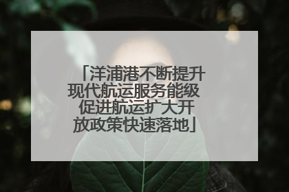 洋浦港不断提升现代航运服务能级 促进航运扩大开放政策快速落地