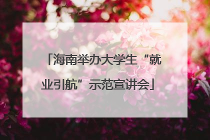 海南举办大学生“就业引航”示范宣讲会