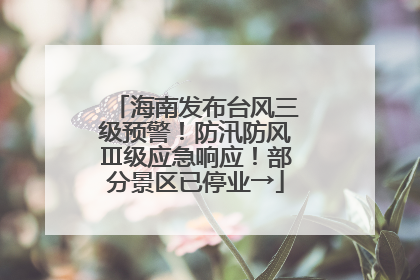 海南发布台风三级预警！防汛防风Ⅲ级应急响应！部分景区已停业→