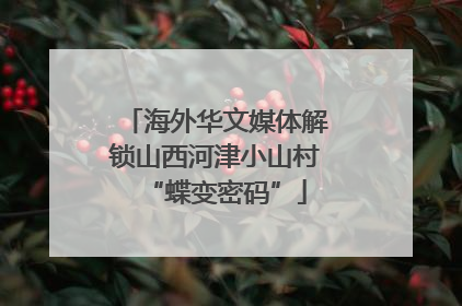 海外华文媒体解锁山西河津小山村“蝶变密码”