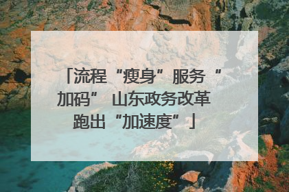 流程“瘦身”服务“加码” 山东政务改革跑出“加速度”