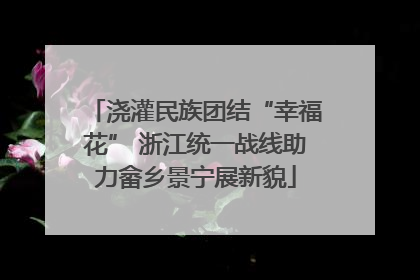 浇灌民族团结“幸福花” 浙江统一战线助力畲乡景宁展新貌