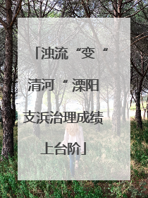 浊流“变“清河“ 溧阳支浜治理成绩上台阶