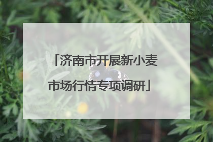 济南市开展新小麦市场行情专项调研