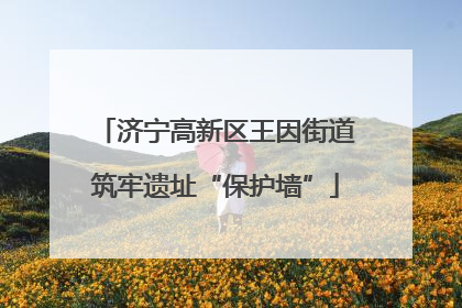 济宁高新区王因街道筑牢遗址“保护墙”