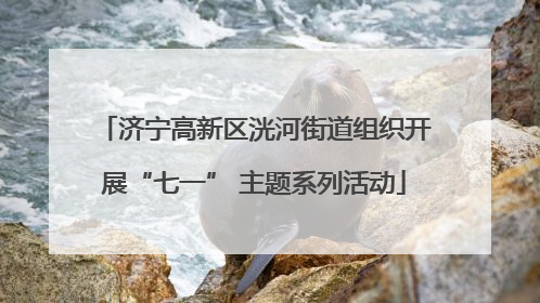 济宁高新区洸河街道组织开展“七一” 主题系列活动