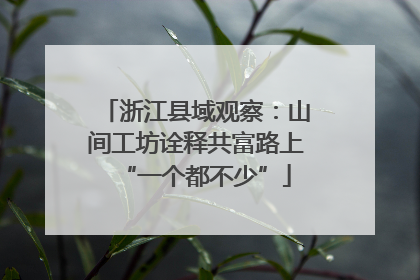 浙江县域观察：山间工坊诠释共富路上“一个都不少”