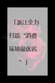 浙江全力打造“消费环境最优省”