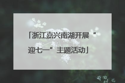 浙江嘉兴南湖开展“迎七一”主题活动