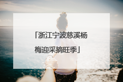 浙江宁波慈溪杨梅迎采摘旺季