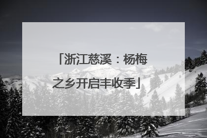 浙江慈溪：杨梅之乡开启丰收季