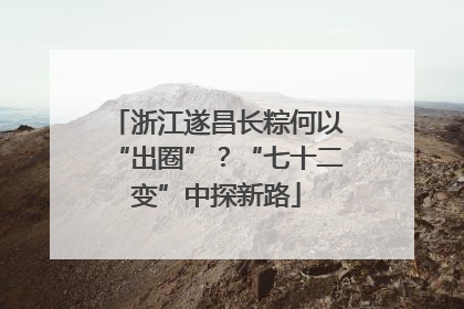 浙江遂昌长粽何以“出圈”？“七十二变”中探新路