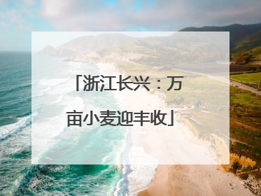 浙江长兴：万亩小麦迎丰收
