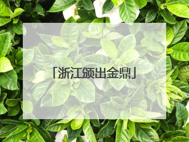浙江颁出金鼎