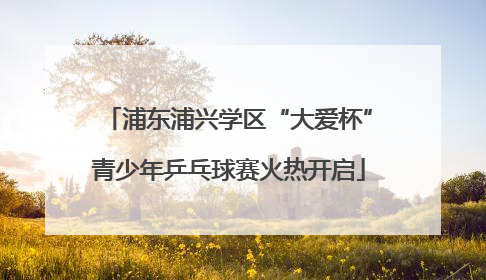 浦东浦兴学区“大爱杯”青少年乒乓球赛火热开启