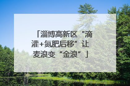 淄博高新区“滴灌+氮肥后移”让麦浪变“金浪”