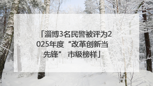 淄博3名民警被评为2025年度“改革创新当先锋” 市级榜样