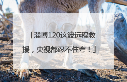 淄博120这波远程救援，央视都忍不住夸！