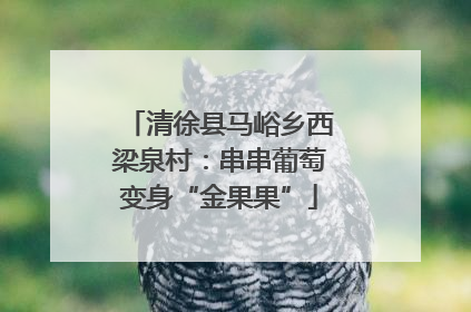 清徐县马峪乡西梁泉村：串串葡萄变身“金果果”