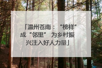 温州苍南：“榜样”成“邻里” 为乡村振兴注入好人力量