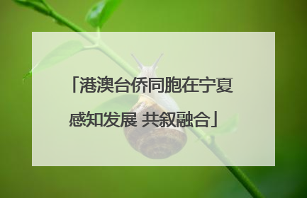 港澳台侨同胞在宁夏感知发展 共叙融合
