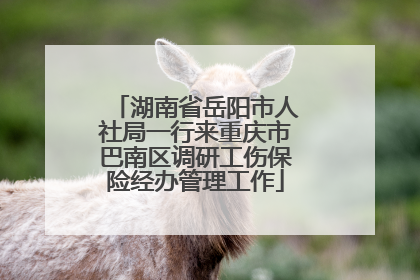 湖南省岳阳市人社局一行来重庆市巴南区调研工伤保险经办管理工作