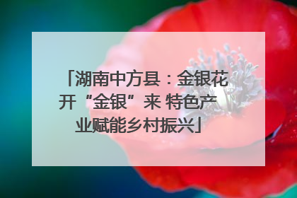 湖南中方县：金银花开“金银”来 特色产业赋能乡村振兴