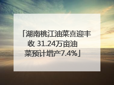 湖南桃江油菜喜迎丰收 31.24万亩油菜预计增产7.4%