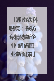 湖南铁科职院：探访专精特新企业 解码职业新图景