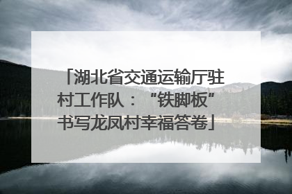 湖北省交通运输厅驻村工作队：“铁脚板”书写龙凤村幸福答卷