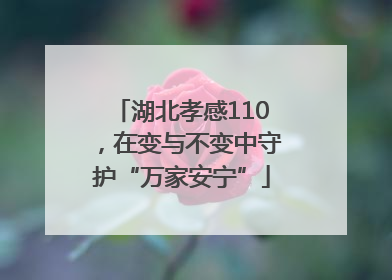 湖北孝感110，在变与不变中守护“万家安宁”