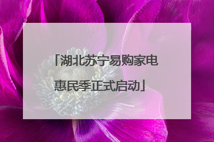 湖北苏宁易购家电惠民季正式启动