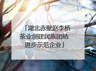 湖北赤壁赵李桥茶业创建民族团结进步示范企业