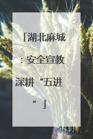 湖北麻城：安全宣教深耕“五进”