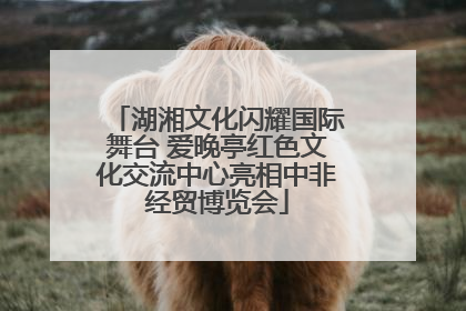 湖湘文化闪耀国际舞台 爱晚亭红色文化交流中心亮相中非经贸博览会