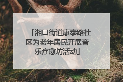 湘口街道康泰路社区为老年居民开展音乐疗愈坊活动