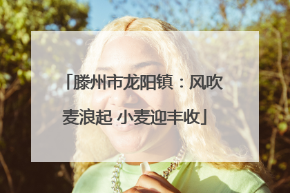 滕州市龙阳镇：风吹麦浪起 小麦迎丰收