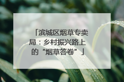 滨城区烟草专卖局：乡村振兴路上的“烟草答卷”