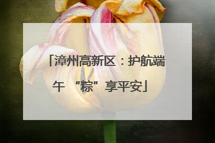 漳州高新区：护航端午 “粽”享平安