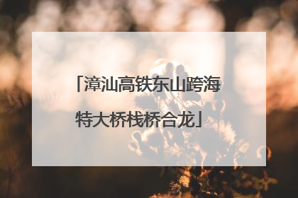 漳汕高铁东山跨海特大桥栈桥合龙