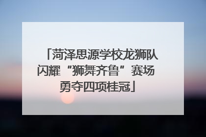 菏泽思源学校龙狮队闪耀“狮舞齐鲁”赛场 勇夺四项桂冠